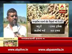 કમોસમી વરસાદથી બનાસકાંઠાના અમીરગઢમાં કેટલું થયું નુકસાન? જુઓ ખાસ અહેવાલ