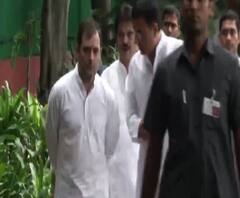 VIDEO | विधानसभा निवडणुकीच्या प्रचारासाठी राहुल गांधी 12 किंवा 13 ऑक्टोबरला महाराष्ट्रात येण्याची शक्यता | ABP Majha