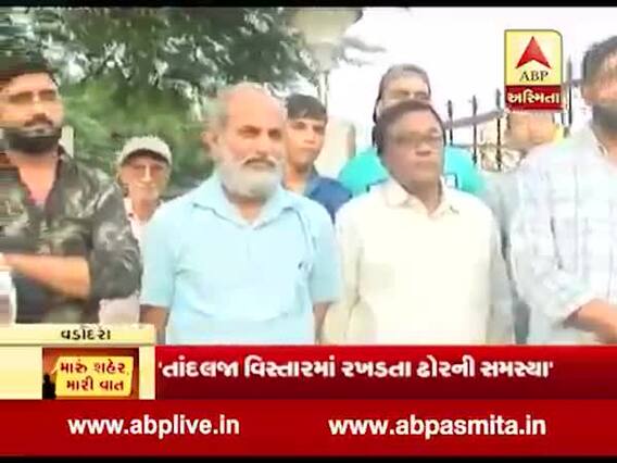 મારું શહેર, મારી વાતઃ વડોદરાના તાંદલજાના લોકો સાથે પાણીની સમસ્યા મુદ્દે ખાસ વાત