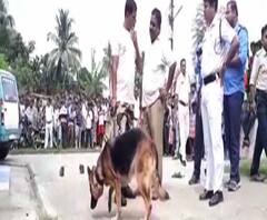 নবমীর দিন দুর্গাপুরের মহিলা খুনে গ্রেফতার ১