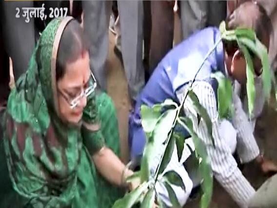 Corruption erodes MP' sapling project| Ghanti Bajao Full