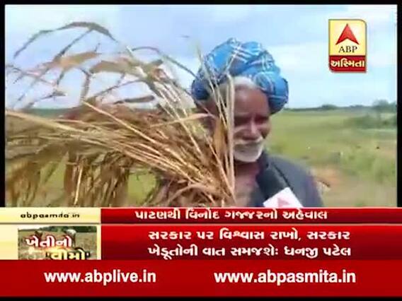 કમોસમી વરસાદથી પાકને નુકસાન, સાંભળો ખેડૂતોની વ્યથા