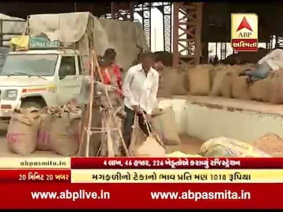 મગફળી વેચવા માટે 4.46 લાખ ખેડૂતોએ કરાવ્યું રજીસ્ટ્રેશન, જુઓ વીડિયો