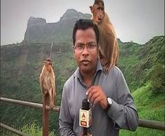 WEB EXCLUSIVE | नाशिकचे प्रतिनिधी प्रांजल कुलकर्णी यांचा कॅमेऱ्यासमोर रिपोर्टिंग करताना माकडांच्या हस्तक्षेपाचा अनुभव | ABP Majha