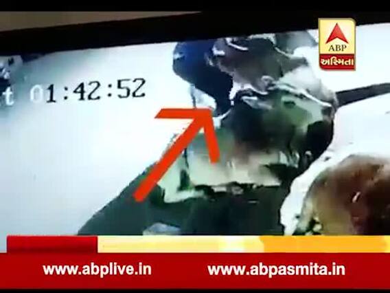 દાહોદઃ રખડતાં ઢોરની ચોરી કરતી ટોળકી CCTVમાં કેદ, જુઓ વીડિયો