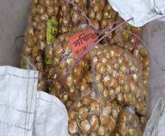 Reporter Stories: মহিষাদল থেকে উদ্ধার ৪ হাজার কেজি শব্দবাজি, গ্রেফতার ৪