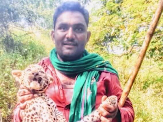 ગીરઃ દીપડાના બચ્ચાની પજવણી કરનારનું નામ આપનારને 25 હજારના ઇનામની જાહેરાત