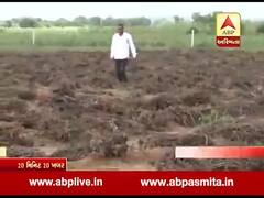 દિવાળી પહેલા ખેડૂતોને વળતર મળવાની શક્યતા ઓછી, જુઓ વીડિયો
