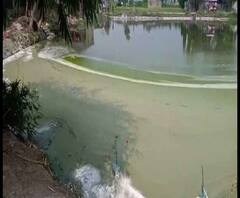 Reporter Stories: আউশগ্রামে ডায়েরিয়ার প্রকোপ, আক্রান্ত ৩০