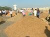 રાજકોટ માર્કેટિંગ યાર્ડમાં મગફળીની આવક કરાઈ બંધ, જુઓ વીડિયો