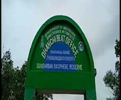 Reporter Stories: সুন্দরবনের কলসদ্বীপের কাছে কাঁকড়া ধরার সময় বাঘে টেনে নিয়ে গেল মৎস্যজীবীকে
