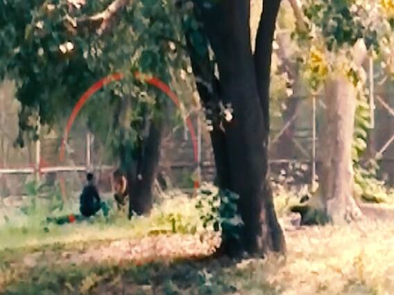 When a man fell into lion's enclosure in Delhi | Sansani