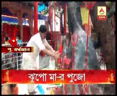 কাটোয়ার ঝুপো কালী তলায় কালী রূপে পুজো করা হয় নিমগাছকে