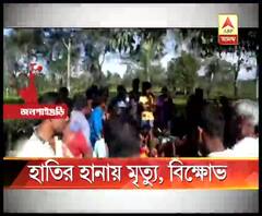 ময়নাগুড়িতে হাতির হানায় দম্পতি সহ মৃত ৩,বানারহাটে বাইসনের তাণ্ডব, ঘুমপাড়ানি গুলিতে কাবু করার কিছুক্ষণ পর মৃত্যু 