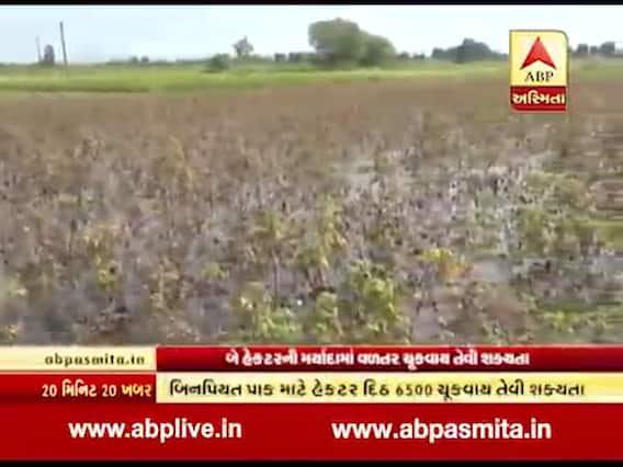 ખેડૂતોને પાકમાં નુકસાનઃ બે હેક્ટરની મર્યાદામાં વળતર ચૂકવાય તેવી શક્યતા, જુઓ વીડિયો