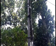 Reporter Stories: দীর্ঘদিন ধরে রাস্তায় নেই আলো, বাড়ছে চুরি-ছিনতাই, প্রতিবাদে পথ অবরোধ দুর্গাপুরে