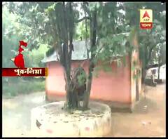 পুরুলিয়ার হিড়বহাল গ্রামে বাউরি সম্প্রদায়ের মানুষের হাতে পুজো নেন ভদ্রকালী ও পীরবাবা