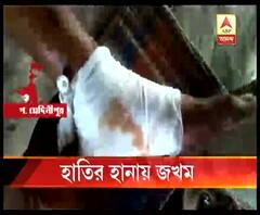 হাতির হানায় জখম ব্যক্তি, নষ্ট বিঘা বিঘা জমির ফসল