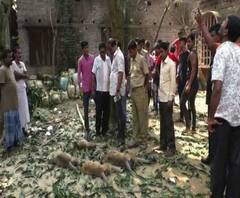Reporter Stories: চারটি হনুমানের মৃত্যু, অসুস্থ আরও বেশ কয়েকটি, শান্তিপুরে চাঞ্চল্য