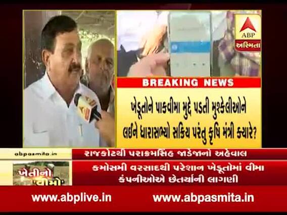 રાજકોટઃ ટેકાના ભાવે શરૂ થયેલી મગફળીની ખરીદી મુદ્દે ભાજપના આગેવાનોએ શું કહ્યું?
