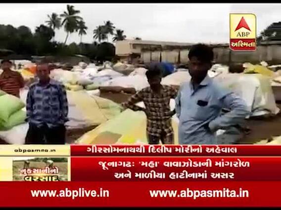 ગીર સોમનાથઃ માર્કેટિંગ યાર્ડમાં મગફળી પર ફરી વળ્યું પાણી, જુઓ ગ્રાઉન્ડ રિપોર્ટ