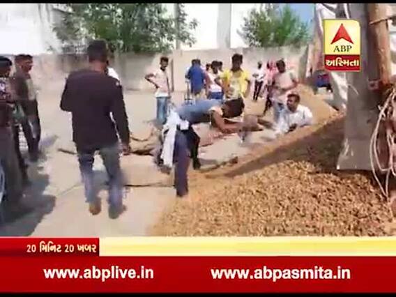 ઉત્તર ગુજરાતમાં પણ મગફળીની ખરીદી પર માવઠાની અસર, જુઓ વીડિયો