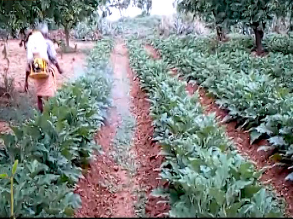 किसानों को प्रधानमंत्री से मिला भरोसा कौन तोड़ रहा है? देखिए रिपोर्ट Ghanti Bajao