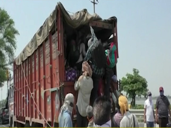 Bathinda: Truck carrying 50 labourers during lockdown caught