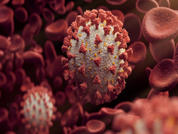 WHO warns of second peak of Coronavirus soon